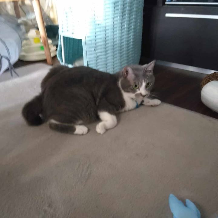 D3f17701 2915 4576 953f 92cea00a7a27 1692829879514