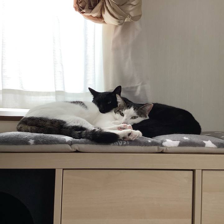 D3f17ded e648 4d35 a485 acb3a13205fe 1556500957342