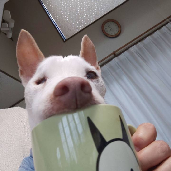 D3f18ade 966f 4af7 a82e b3d4cd358f26 1583451777727