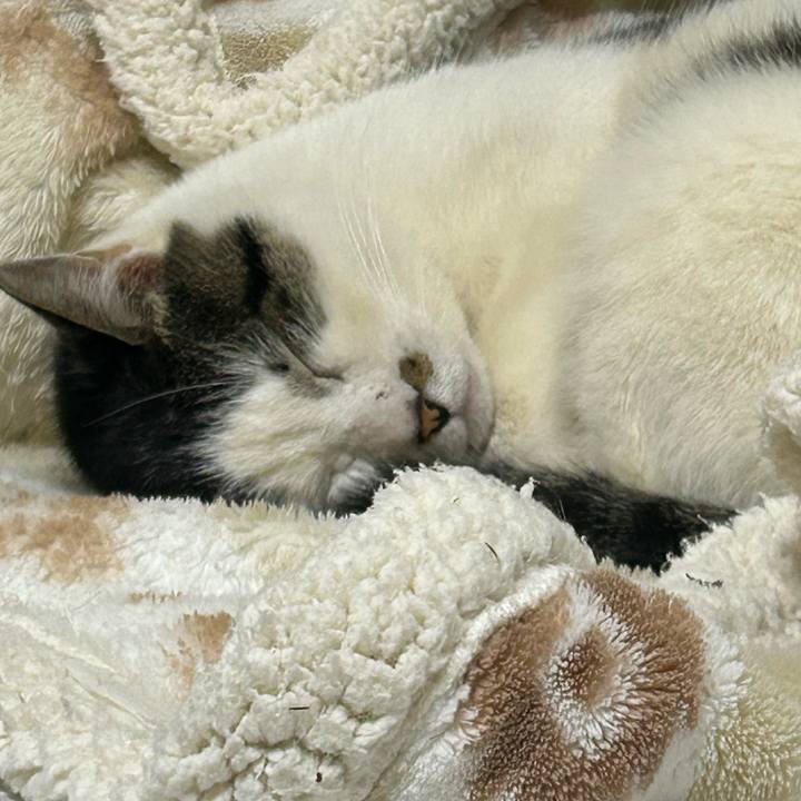 D3f19565 7964 4326 be8e a93bf656837b 1737179909749