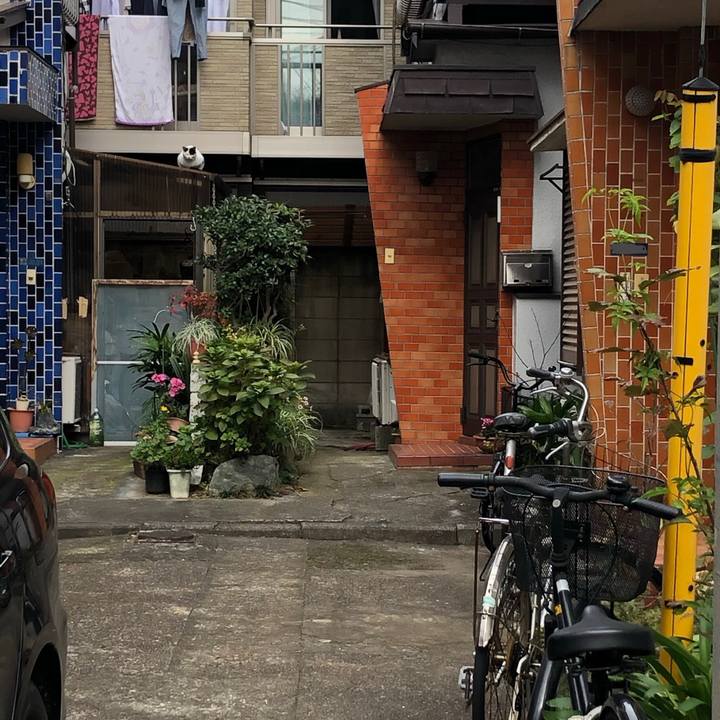 D3f19b40 5cd8 4f62 9831 94d6682fe4a7 1575205055600