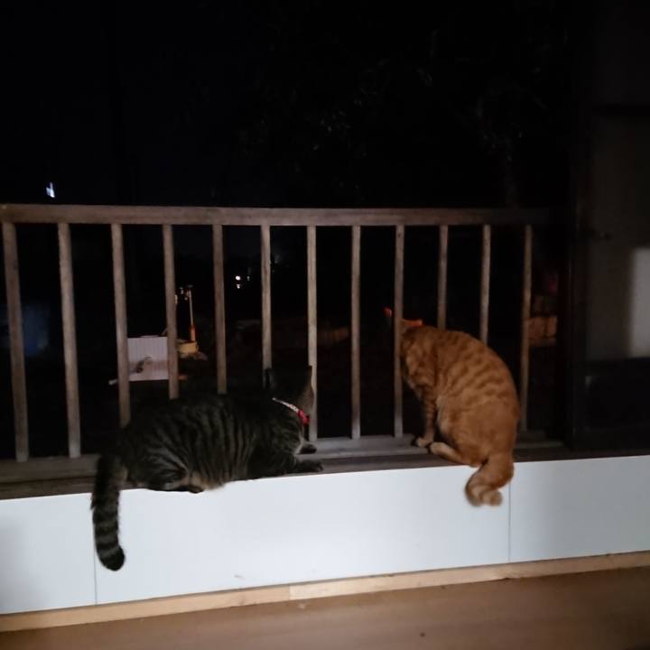 D3f1b485 66c3 448c a232 01a5a5f7c8e5 1662545356528