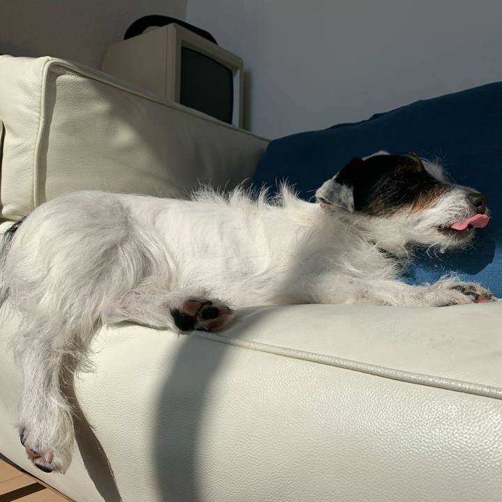 D3f1bf6c 11cb 4aab 80c6 4157700586a4 1612756066743