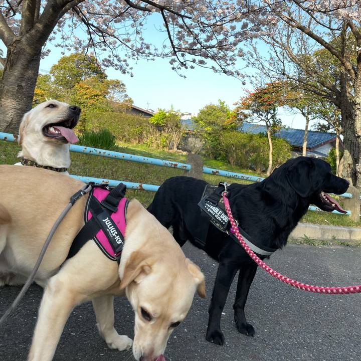 D3f1c2c2 34fa 4b36 a3f5 4b526dbc3503 1648543464047