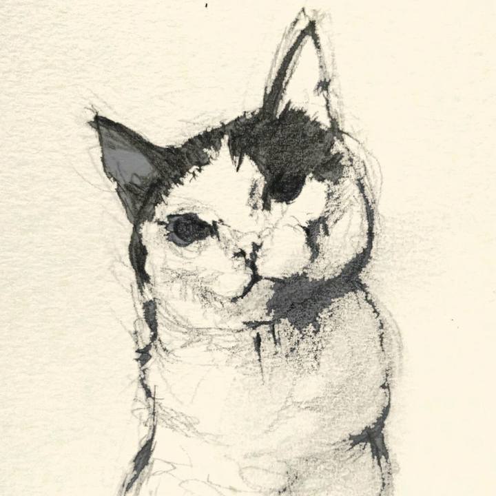 D3f1e1e6 0ad8 44c2 ae85 3990e1a7f9ef 1530438660605