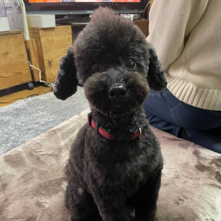 D3f218cd b681 4e9a adfc eb737a70e56a 1705724618985