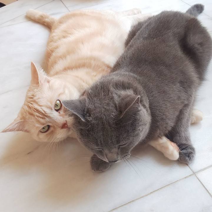 D3f220d7 e1f7 4456 b8c9 becaedf7227c 1564718698537