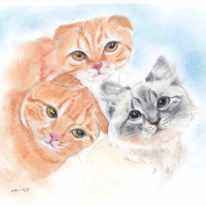 D3f2613a d7b5 4e7a 84fa d1b3e6a59a18 1623035163755