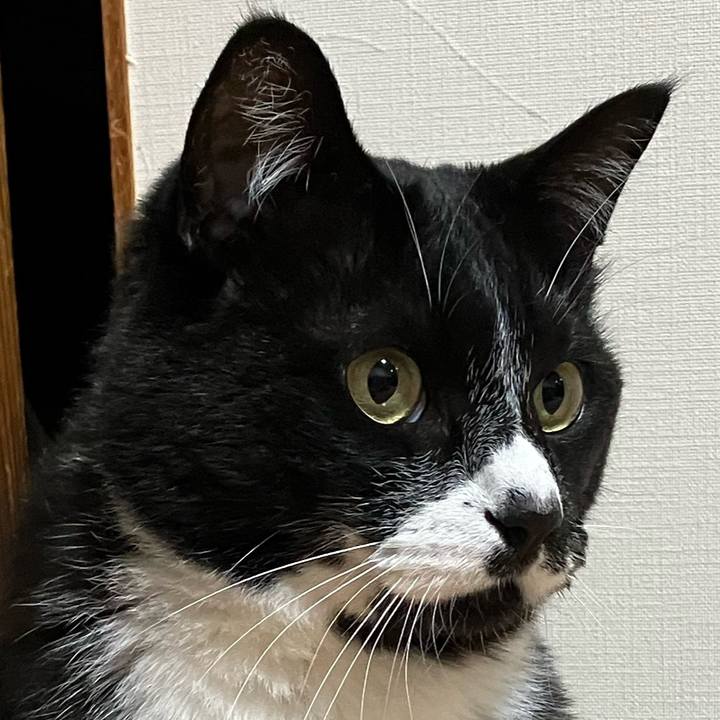 D3f28685 6f91 4268 b2c3 729e74f5f3a0 1759551782516