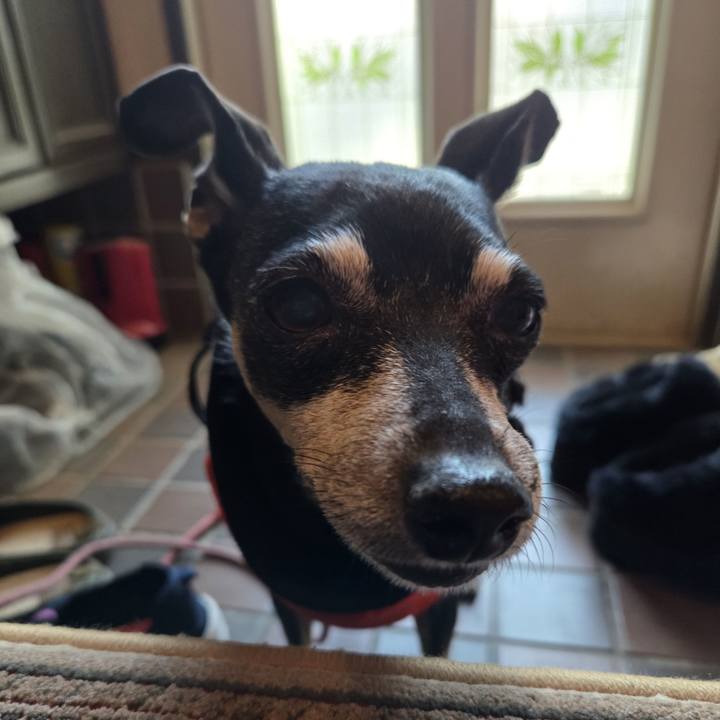 D3f29af0 8323 4c3f 8d0a 312d00a42675 1770091815550