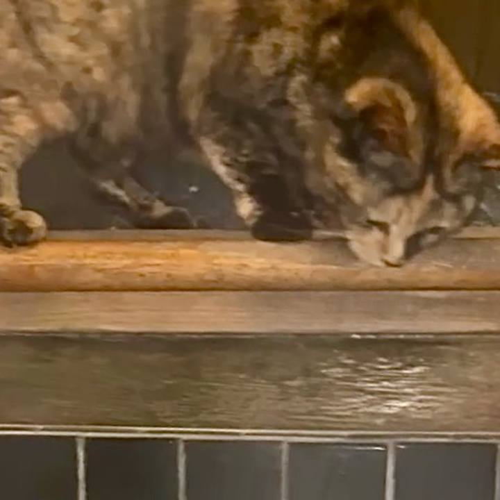 D3f2a5ce 1385 4626 8a09 a58449747d37 1765833707828