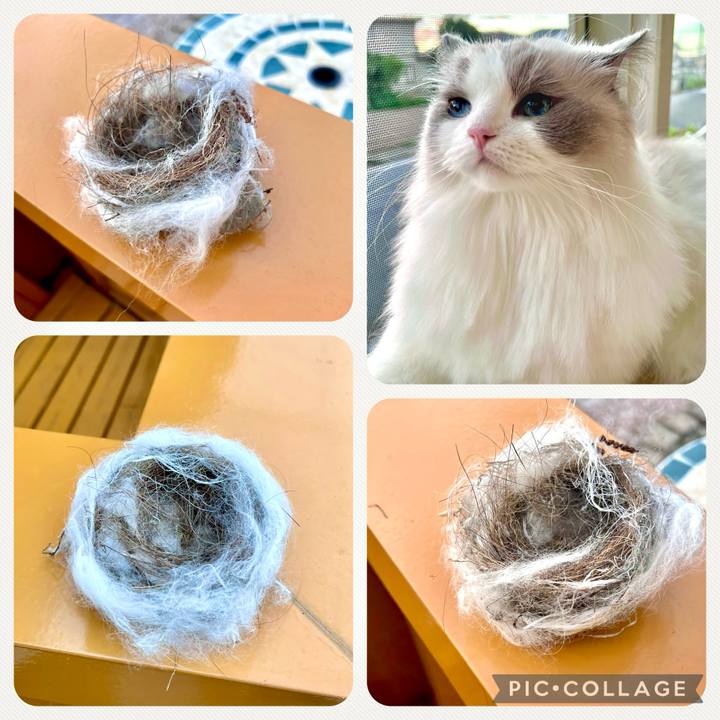 D3f2b40b ab28 419a ae5e 0fa8db692ea3 1731796350527