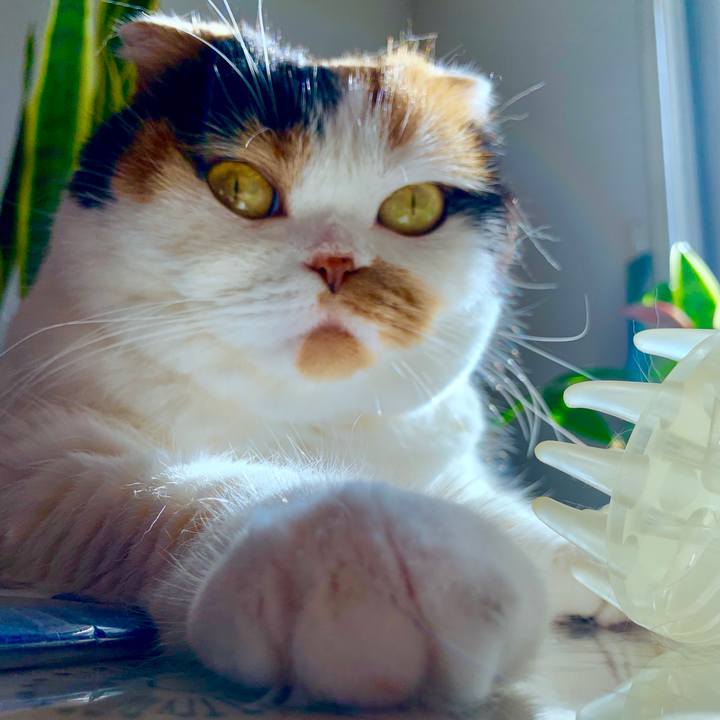 D3f2b796 c05a 430b 8cf7 8b519bdf100b 1570666416334