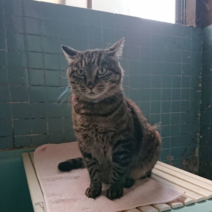 D3f2ecd7 8eb8 4581 93e5 2f06401c44c0 1657016038468