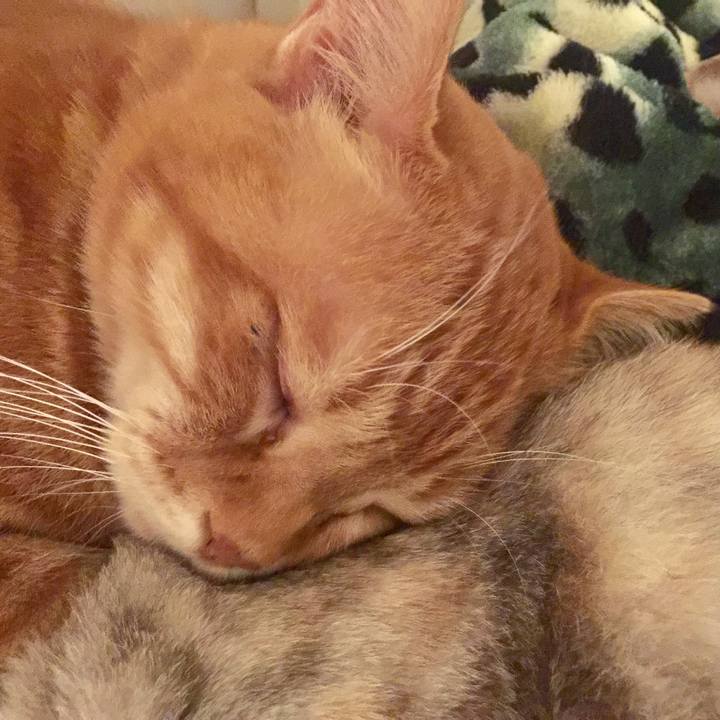 D3f34168 844b 4a01 8804 82950142e74c 1575895087484