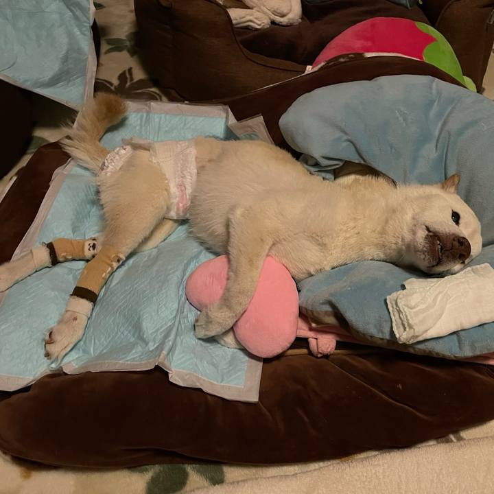 D3f348ec 65b5 4dcd b545 ddbef6803228 1677462618447