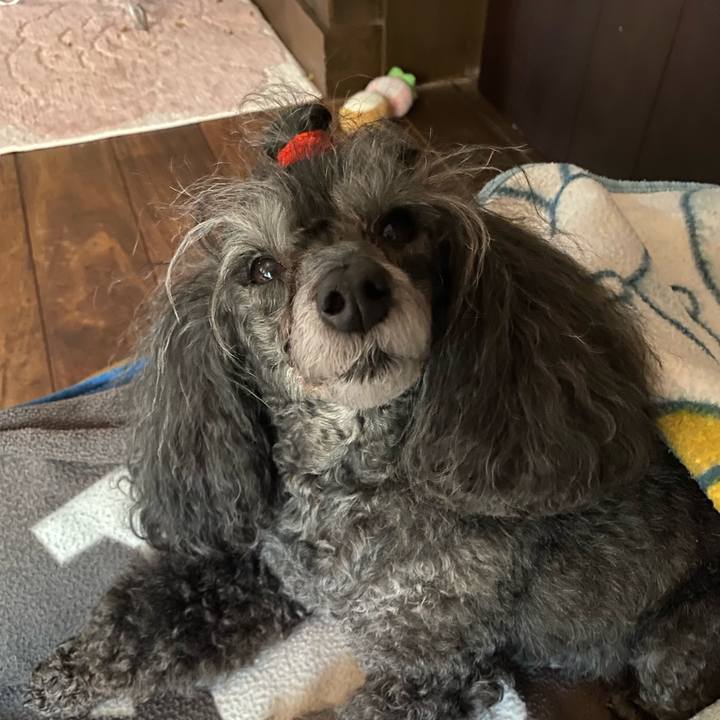 D3f35b14 ce44 4d75 9a50 9ee76c85f98d 1764215209908