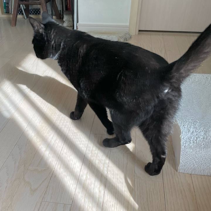 D3f362ad 038b 49a3 a4bb 7137d94dc27b 1652884819076