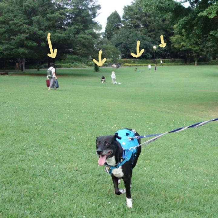 D3f43631 d919 4f77 8733 a79e5aad764e 1689417419730