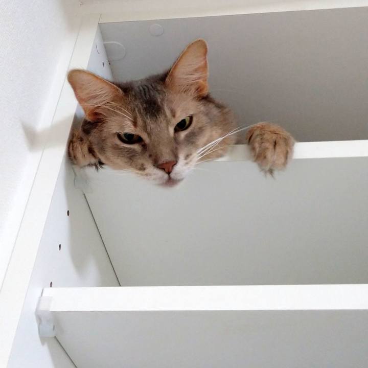 D3f43f3f 5e88 4943 898e 1287cfc0cb38 1601206287480