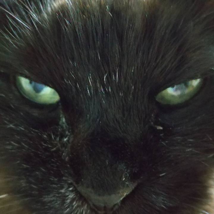 D3f44fc6 a7e5 4ffb 9130 faaf31899b12 1707044030496