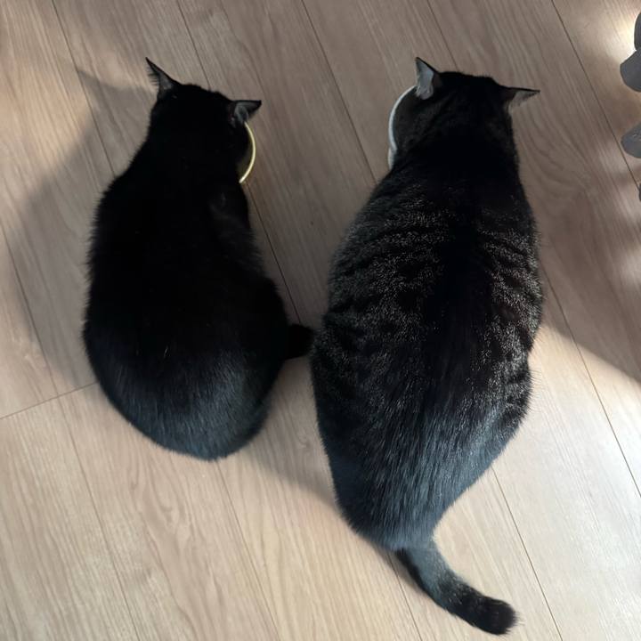 D3f47bf6 8afe 49c6 8a16 b1cf1c9a4949 1763809871422