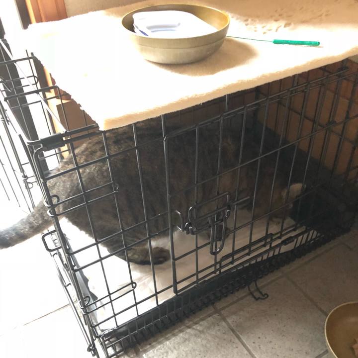 D3f4919f 622c 4834 a3ea c5a99b424fe6 1537850409448