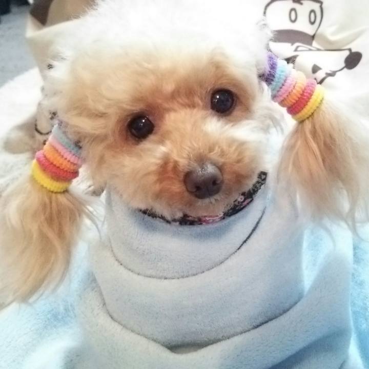 D3f499e2 3855 4460 aaf3 ba1b64ab6ea8 1552564780539