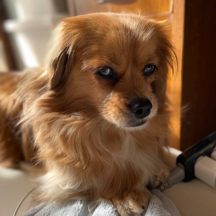 D3f49d8f 44fb 4a13 a2c3 67bc4b5a826a 1584749149784