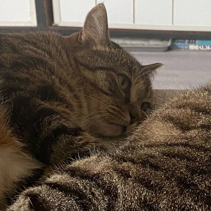 D3f4b969 4e10 4625 a1b6 5f41de3a317a 1628319867131