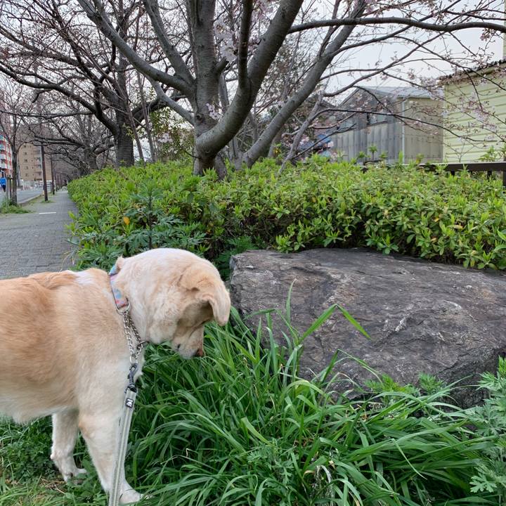 D3f4e694 f62e 4831 8a1a ab3489ae8ac1 1553819516646