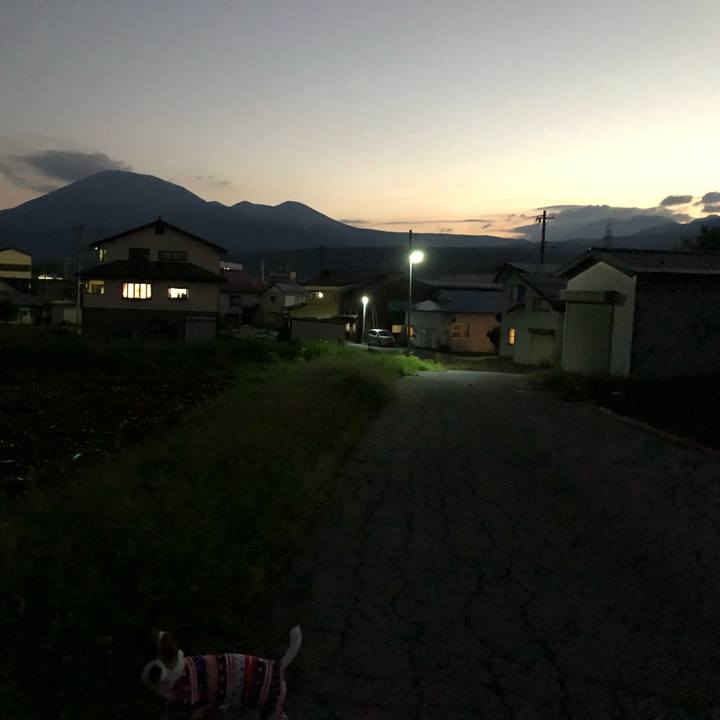 D3f502e6 e6f4 4e5d b635 636a9ad23e0b 1568547769586