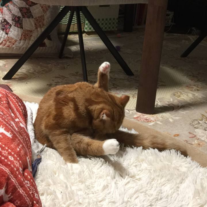 D3f5248d 124d 4663 a0b4 cdc70f43053f 1515499193101