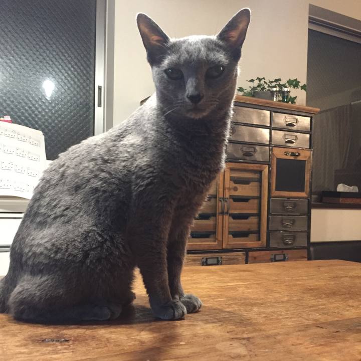 D3f57c35 d821 4cf7 925e 967c467533f8 1540941047056