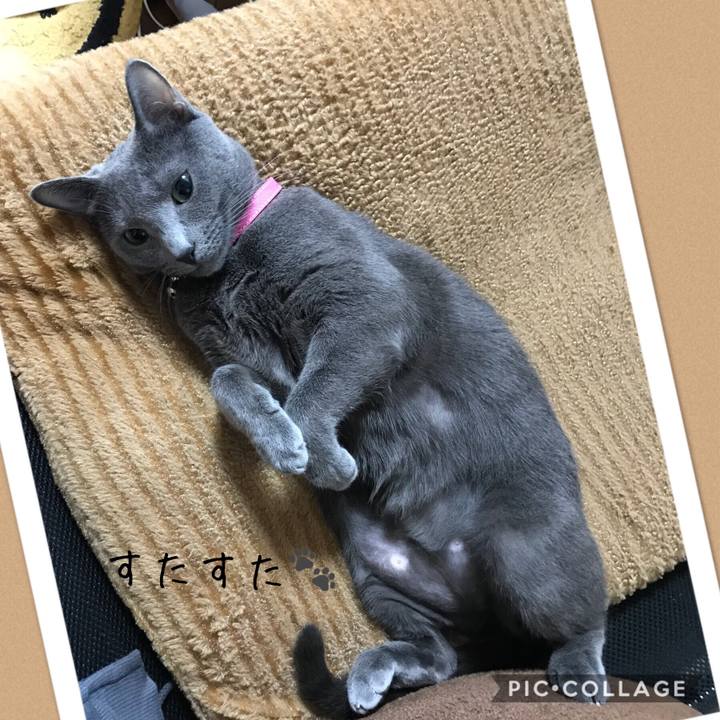 D3f5902d 24d7 4979 b406 4b7b0c64f4f4 1524373918737