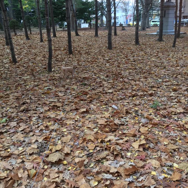 D3f5a6cf a10f 41ba b241 f3a86d89acb0 1509878284001