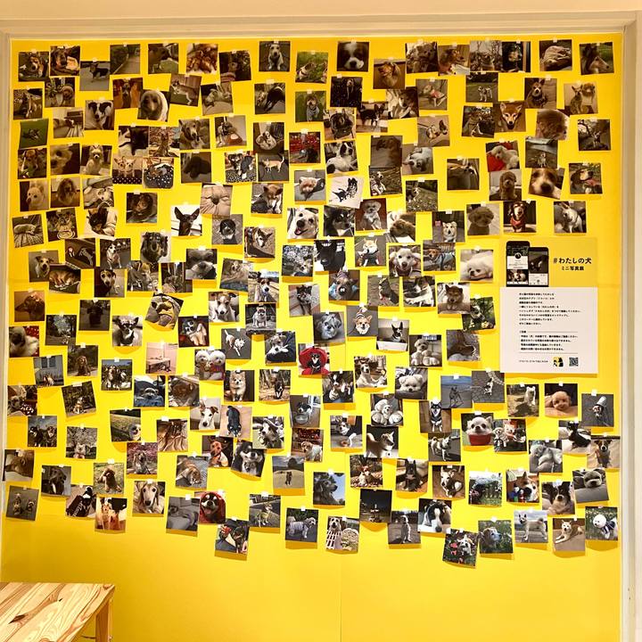 D3f5b09b 4fa7 4edf ab45 9d8be3742425 1774250814069