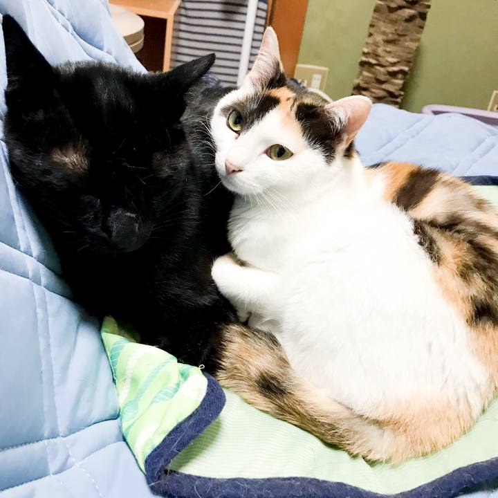 D3f5d5e4 7451 4e4b 8e03 b9240283f74d 1530886803796