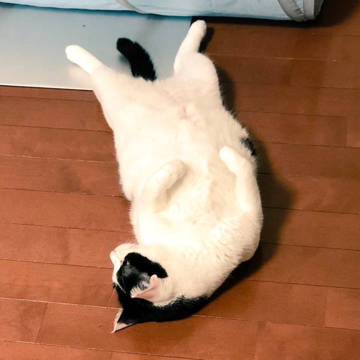 D3f5dfb7 2575 4544 9615 7b67df1d1e1b 1535091431295