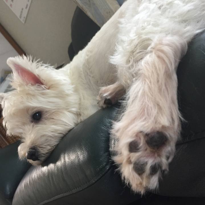 D3f5e80f a58b 43b8 aa2c 2be2846a09f4 1531018634103