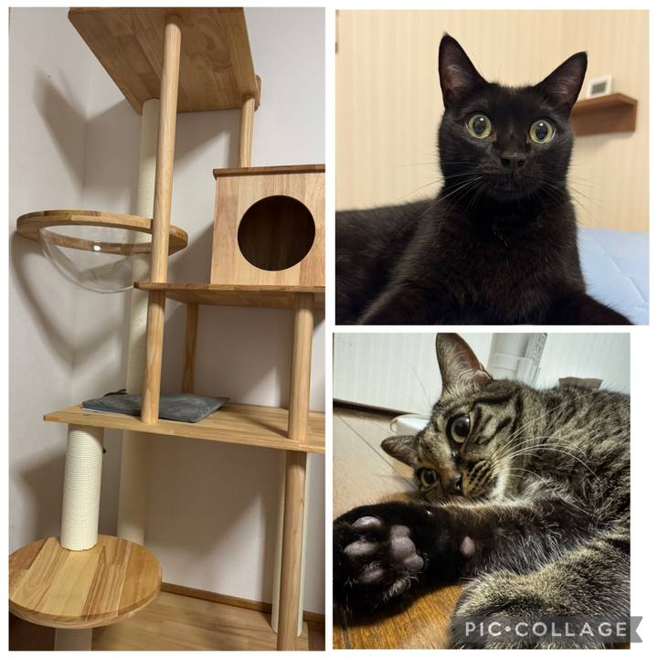 D3f5ec84 e820 42d6 b0a6 9e24e522dda9 1764329577629