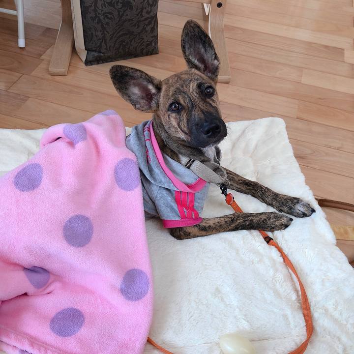 D3f61316 b51c 40ad 94ab dba054443730 1572613443267