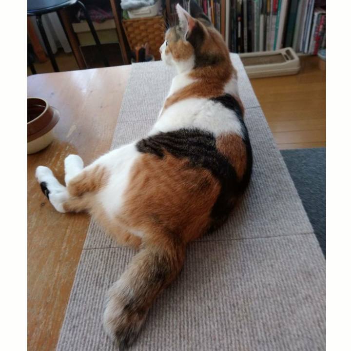 D3f62ff8 7b7c 4ed9 95cf 993243e55e92 1598269544633