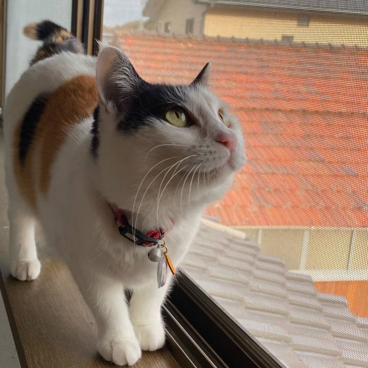 D3f63673 368e 4b9b 8560 c75eeb37b809 1647945592844