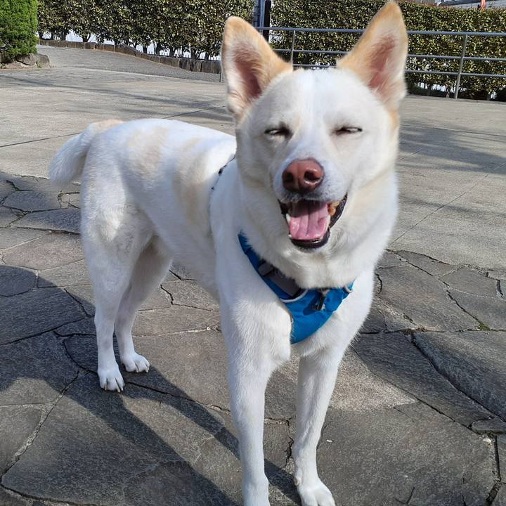 D3f6741a ac75 400f 87a4 3565a5545b55 1648231957356