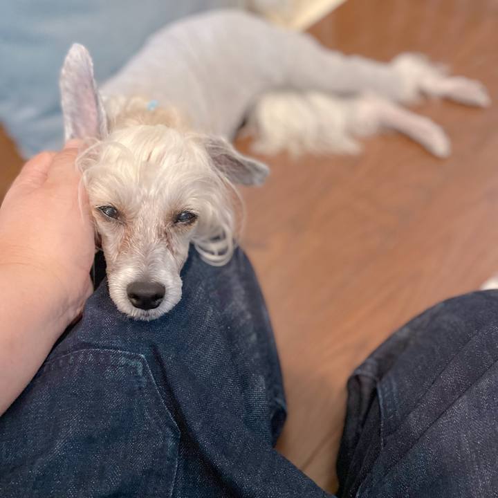 D3f67fbd 9a23 4b65 b7c3 bb089d44258f 1760088641284