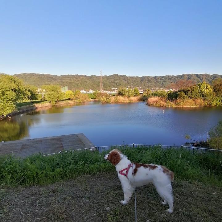 D3f69a30 2e68 40b7 aa7b 83d94217f807 1619081989560