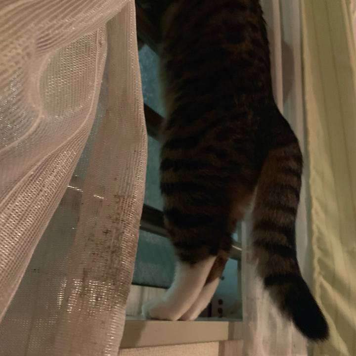 D3f6c912 bc64 4aed 85e3 4be4614adfa0 1573690877516