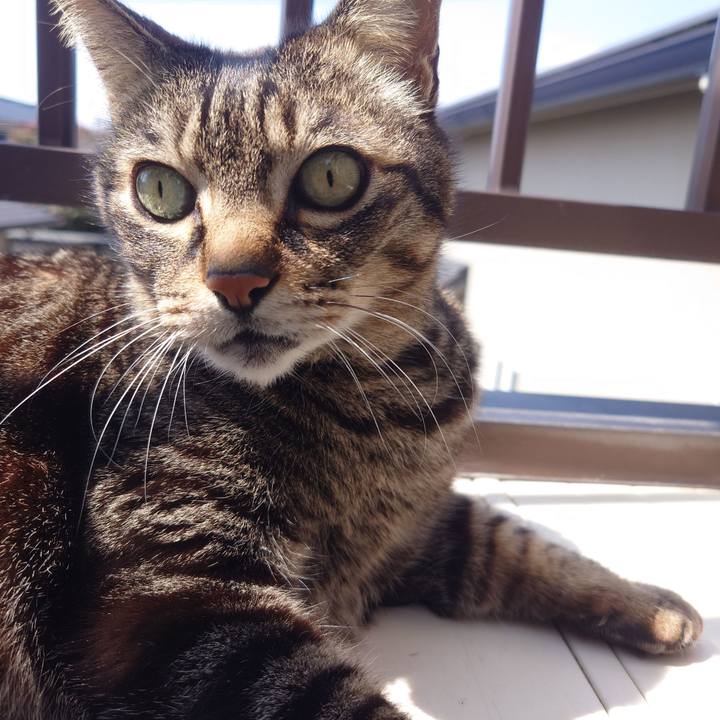 D3f758df d814 44a9 975d fb69f0922715 1742741440396