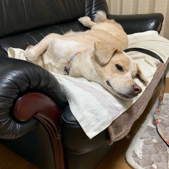 D3f762b3 83d3 4b21 9477 e9600d63a457 1552741086665